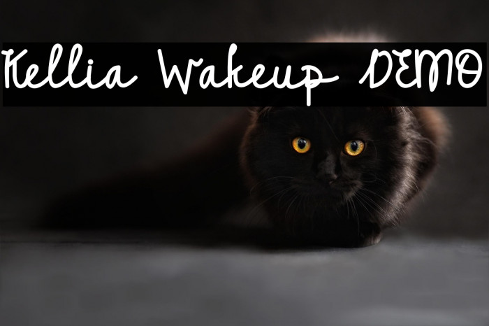 Kellia Wakeup DEMO Example 3