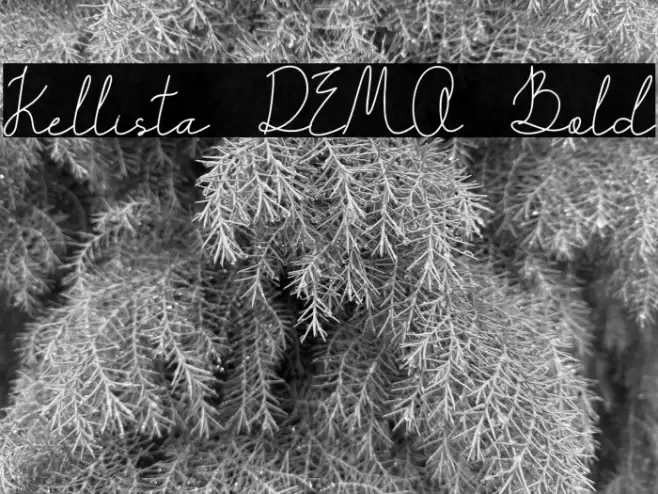 Kellista DEMO Bold Font examples