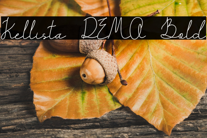 Kellista DEMO Bold Example 2