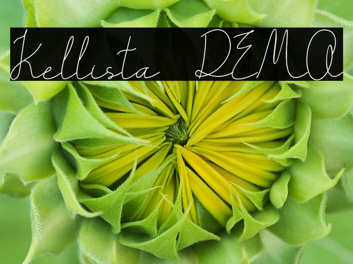 Kellista DEMO Example 3