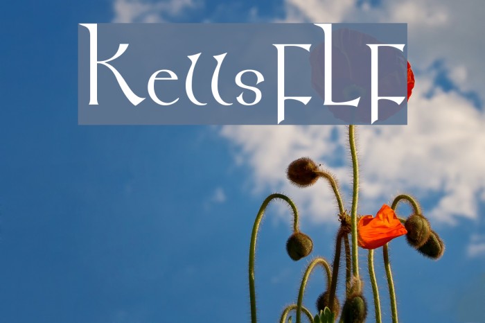 KellsFLF Font examples