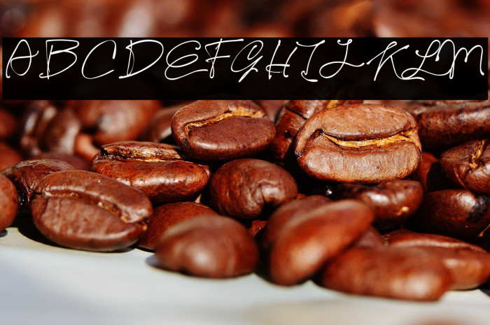 Kelly Signature Example 2