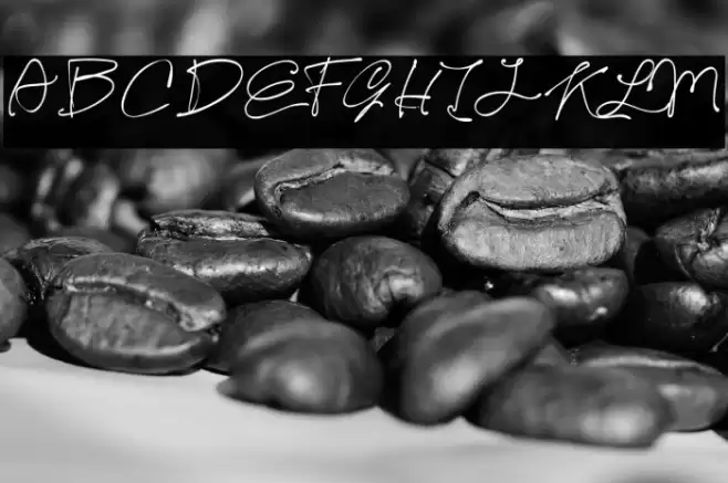 Kelly Signature Font examples