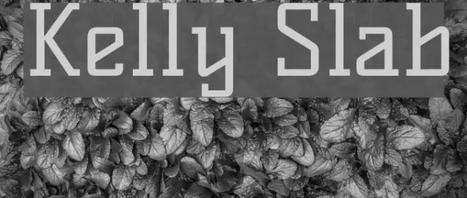Kelly Slab Font examples