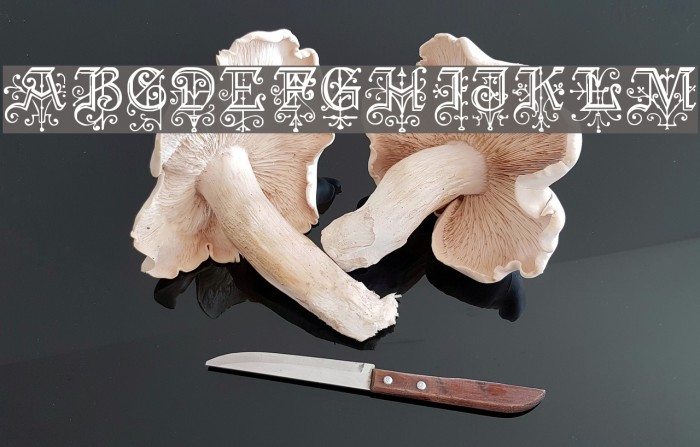 KellyAnnGothic Regular Font examples