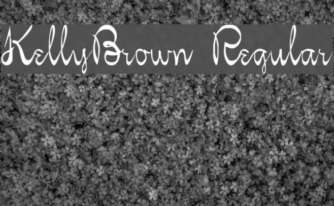 KellyBrown Regular Font examples