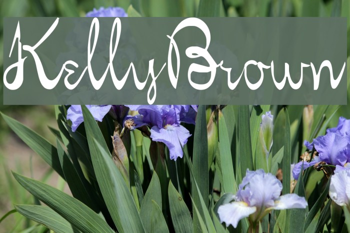 KellyBrown Fonte examples