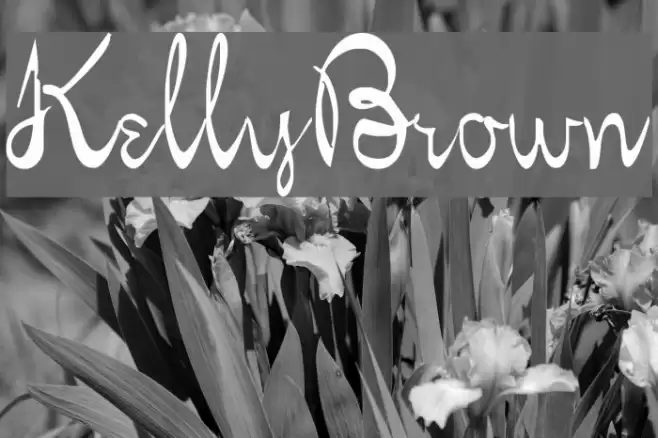 KellyBrown Font examples
