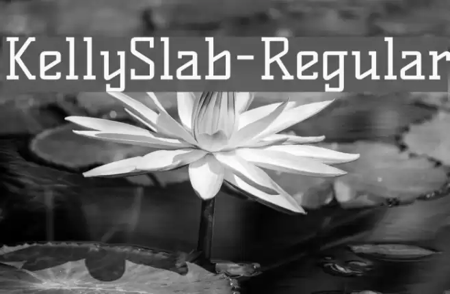 KellySlab-Regular Fonte examples