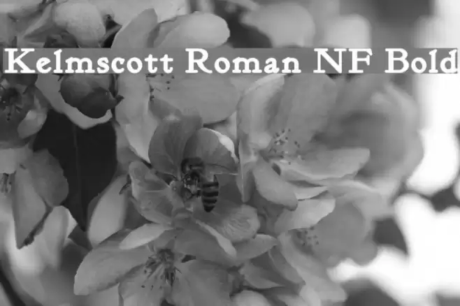 Kelmscott Roman NF Bold Font examples