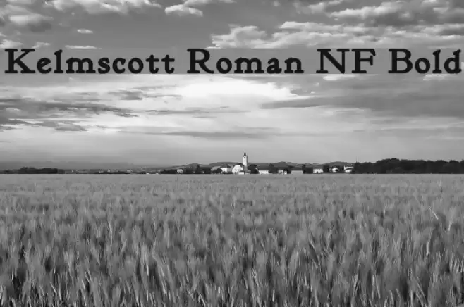 Kelmscott Roman NF Bold Font examples