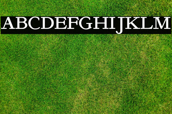 KelmscottRoman Example 1