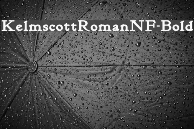 KelmscottRomanNF-Bold Font examples