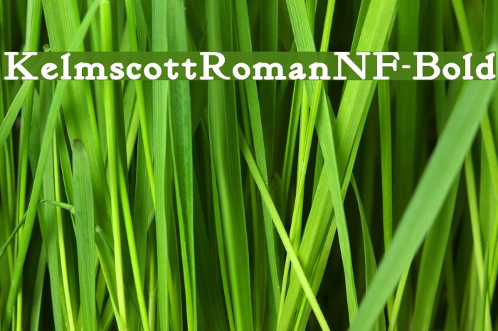 KelmscottRomanNF-Bold Example 3