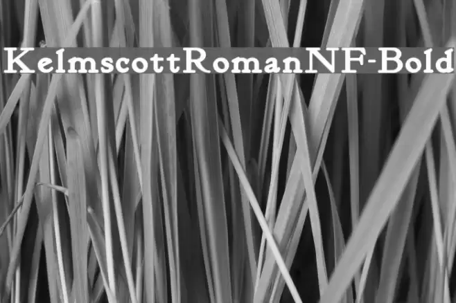 KelmscottRomanNF-Bold Font examples
