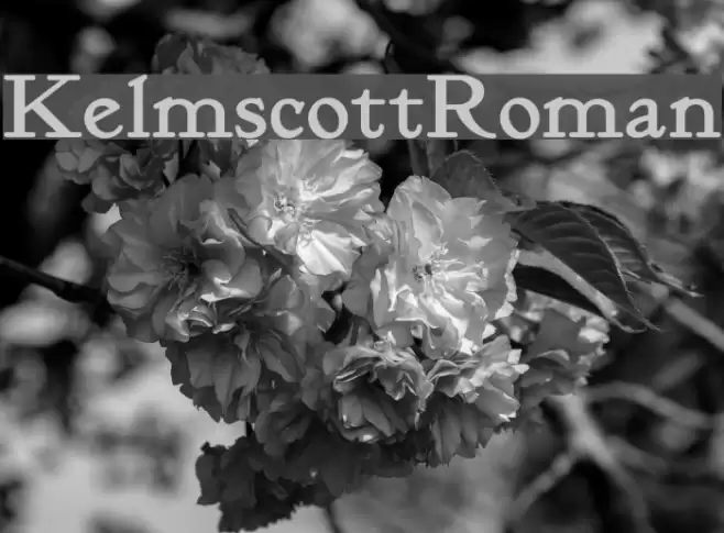 KelmscottRoman Font examples
