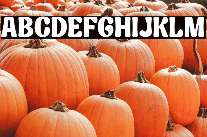 Kelpo DEMO Example 1