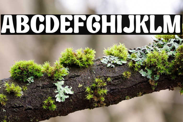 Kelpo DEMO Example 3