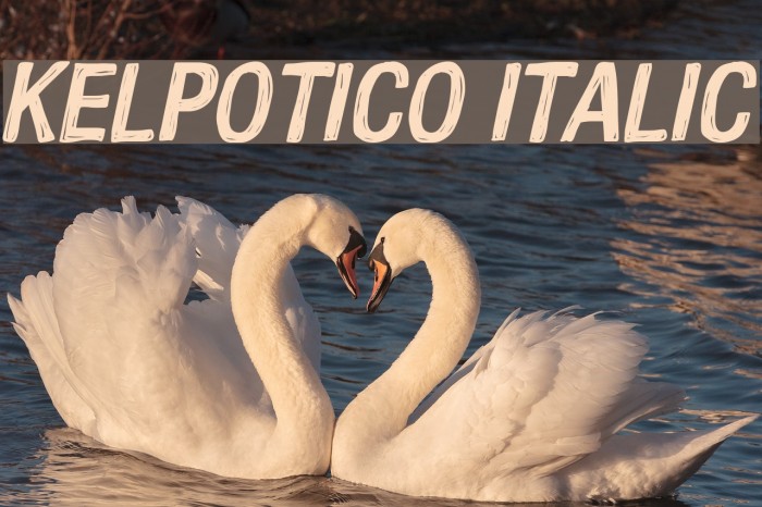 Kelpotico Italic Font examples