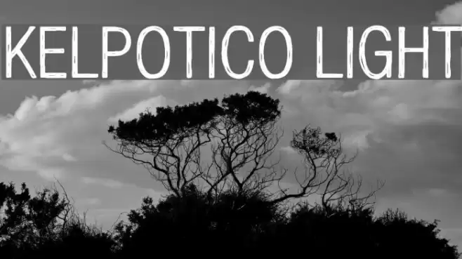 Kelpotico Light Font examples