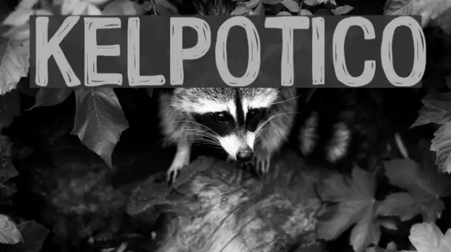 Kelpotico Font examples