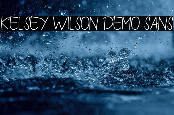 Kelsey Wilson Demo Sans Example 2