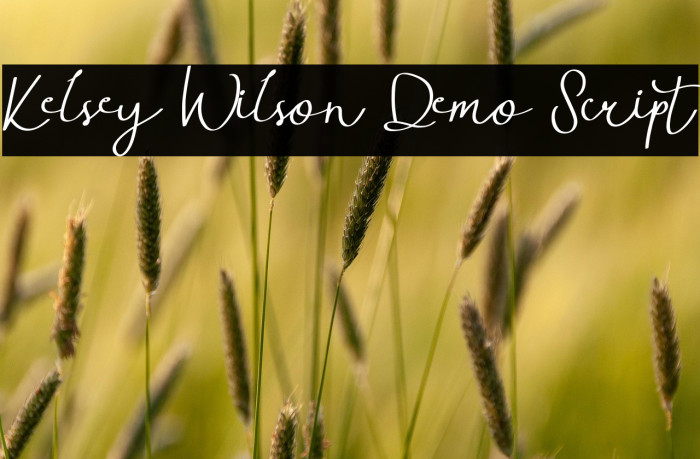 Kelsey Wilson Demo Script Example 2