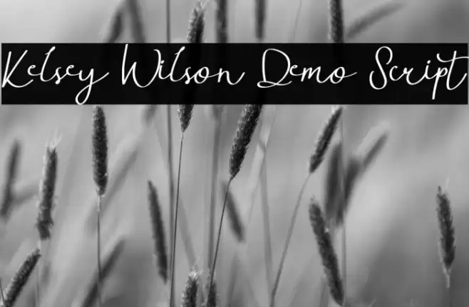 Kelsey Wilson Demo Script Font examples