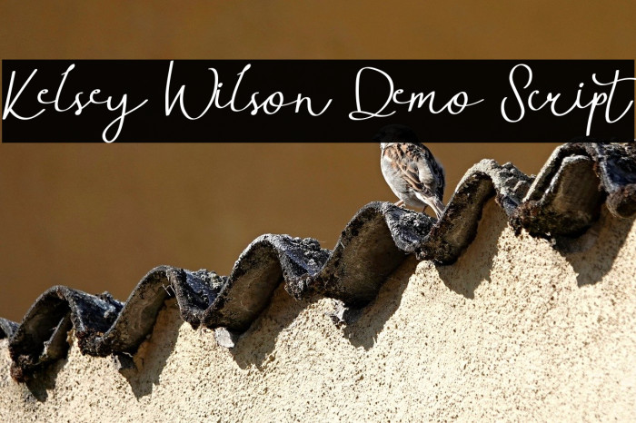 Kelsey Wilson Demo Script Example 3