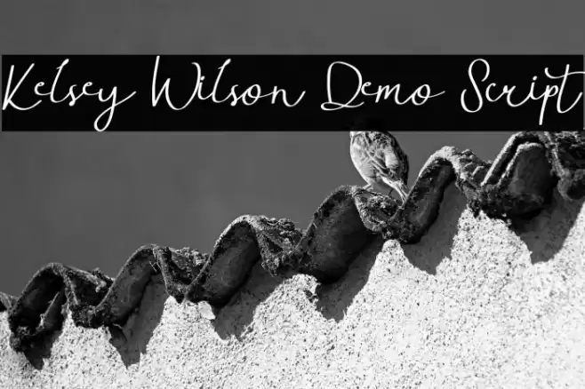 Kelsey Wilson Demo Script Font examples