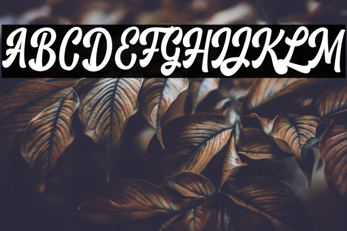 KelseyScript Example 2