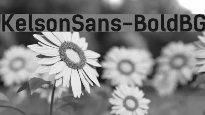KelsonSans-BoldBG Font examples