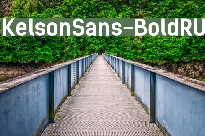 KelsonSans-BoldRU Font examples
