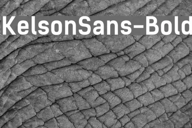KelsonSans-Bold Font examples