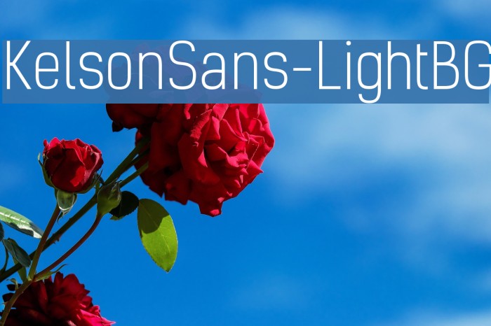 KelsonSans-LightBG Font examples