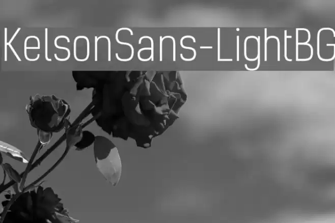 KelsonSans-LightBG Polices examples
