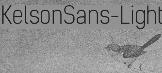 KelsonSans-Light Font examples