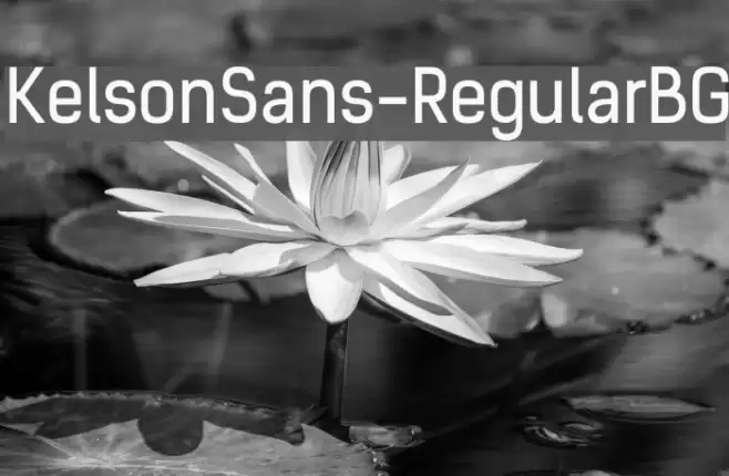 KelsonSans-RegularBG Font examples