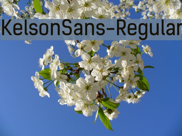 KelsonSans-Regular Font examples