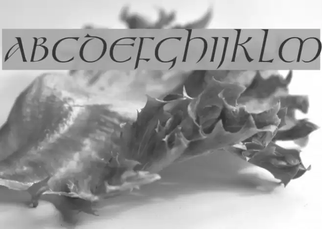 Kelt Italic Font examples