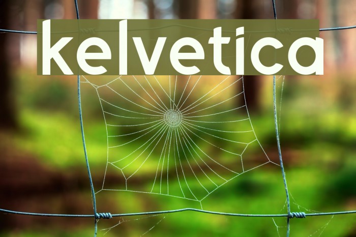 Kelvetica Font examples