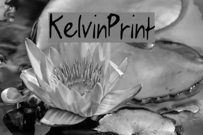 KelvinPrint Font examples