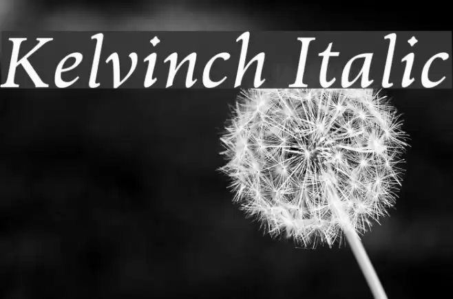 Kelvinch Italic Font examples