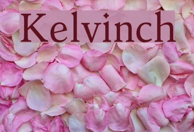 Kelvinch Example 2