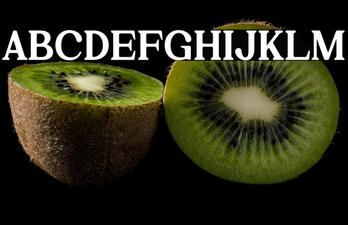 Kelvingi Rodrige Example 1