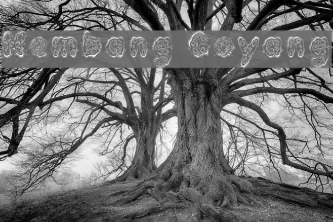 Kembang Goyang Font examples