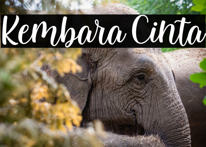 Kembara Cinta Example 2