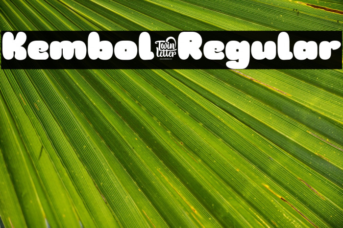 Kembol-Regular Example 3