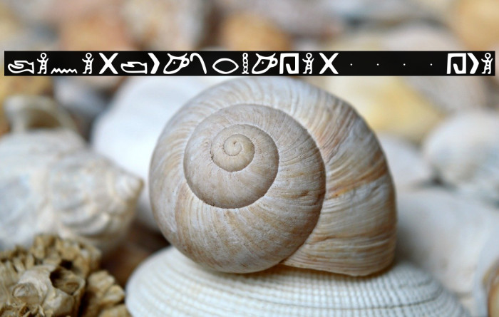 Kemetic_Alphabet_3.200_BCE Example 1