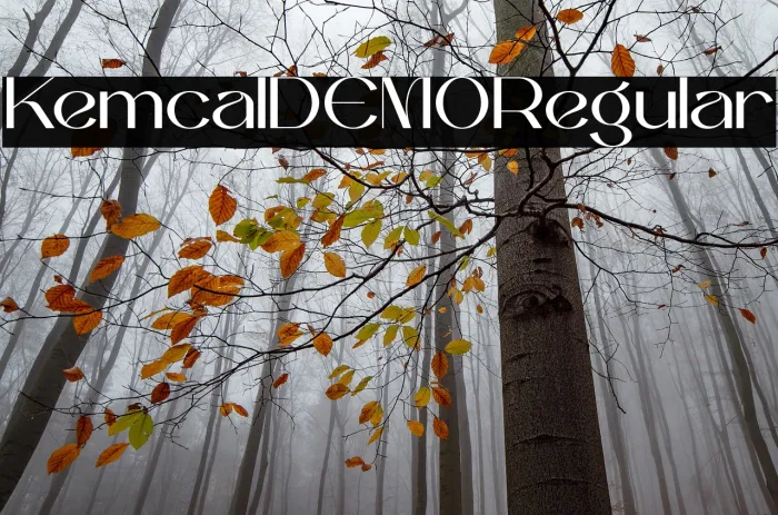 Kemical DEMO Regular Example 1